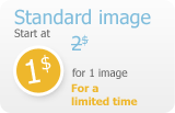 Standard image start at 2$ per 2 images (1$ per image)