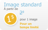 Image standard à partir de 2$ pour 2 images (1$ par image)