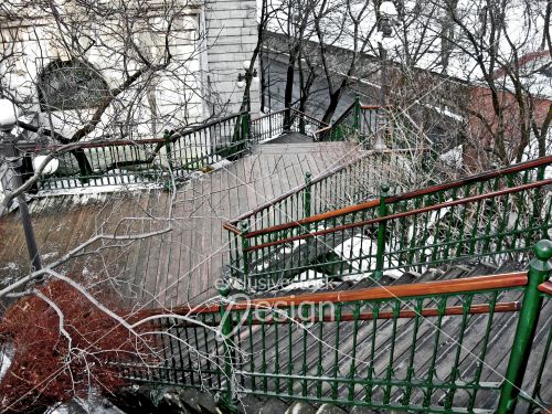 Escaliers extérieurs entouré arbre coeur québec