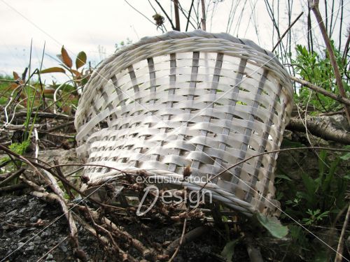 Panier osier abandonné nature Panier osier abandonné nature