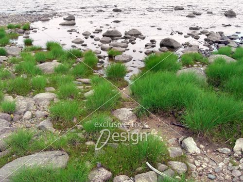 Pierres parcelles gazon lac mouvement Pierres parcelles gazon lac mouvement