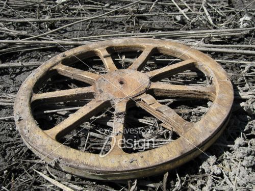 Roue champ Roue champ