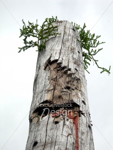 Totem saignant ciel blanc