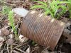Cans, rusted metal retains in nature