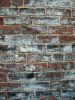 Mur de briques à textures de près