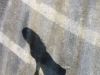 Ombre de femme en robe sur asphalte texturée