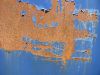 Blue flaking paint on rusty metal plate