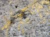 Peinture jaune sur béton rocailleux 
