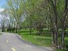 Bike path near a wooded golf green